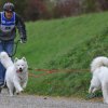 Rennen Weinfelden